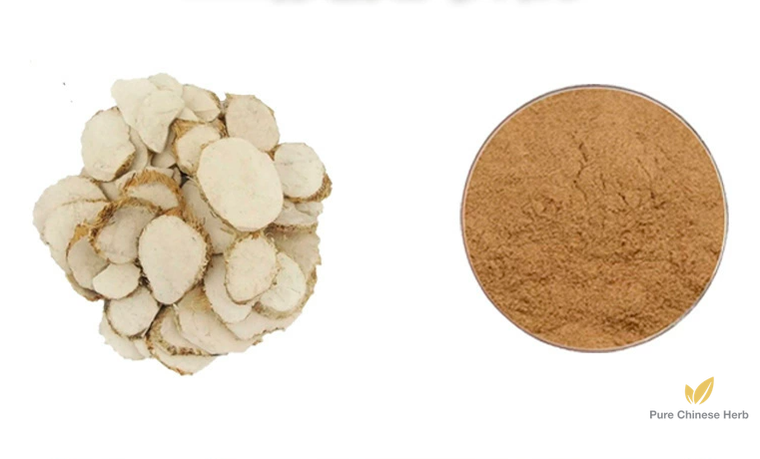 Rhizoma Sparganii Extract 20:1 | Common Burreed Rhizome Extract | San Leng-Pure Chinese Herb™