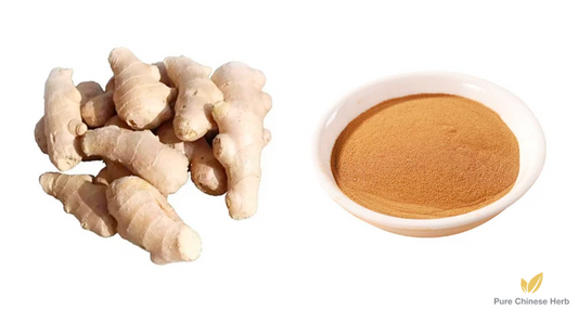 Rhizoma Zingiberis Extract 20:1 | Dried Ginger Extract | Gan Jiang-Pure Chinese Herb™