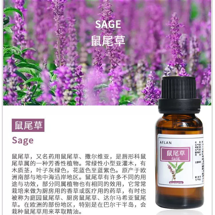 Salvia japonica Essential Oil | Sage Essential Oil | Shu Wei Cao Jing You-Pure Chinese Herb™