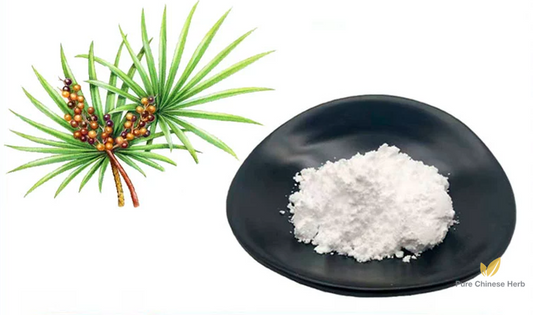 Saw Palmetto Fruit Extract 25% | Fatty Acids | Ju Zong Lv Guo-Pure Chinese Herb™