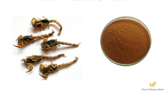 Scorpion Extract 10:1 | Buthus Martensii Extract | Quan Xie-Pure Chinese Herb™