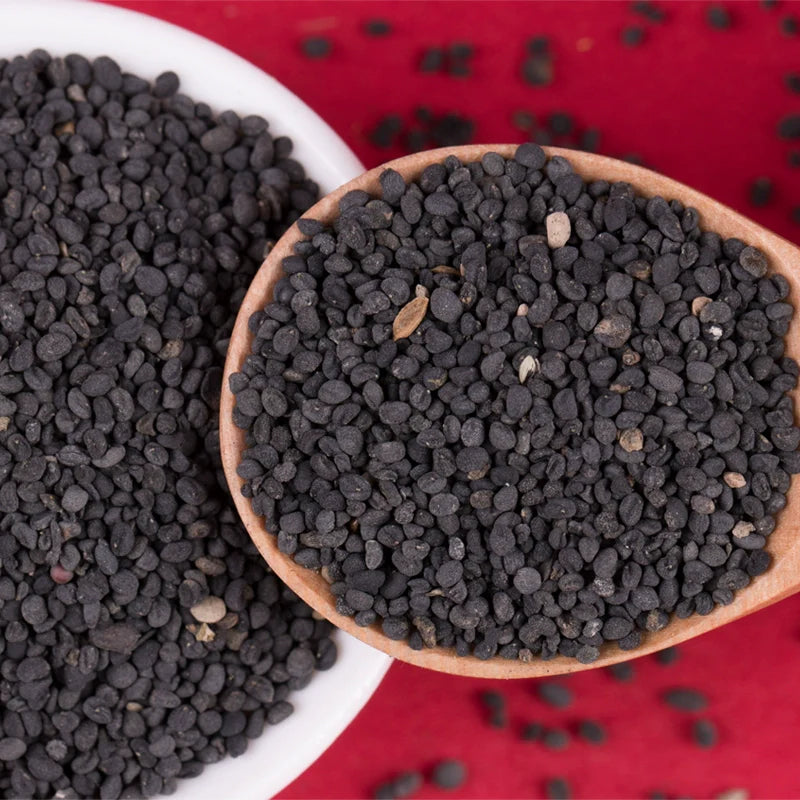 Scutellaria Baicalensis Seeds | Baikal Skullcap | Huang Qin | 200pcs/bag-Pure Chinese Herb™