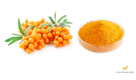 Sea-buckthorn Extract 20:1 | Hippophae | Sha Ji-Pure Chinese Herb™