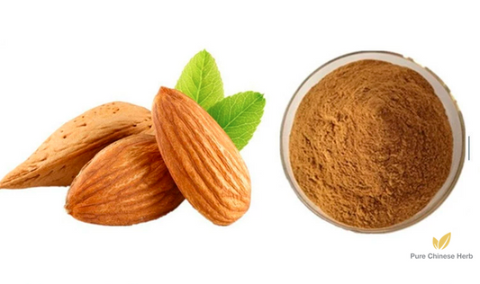 Semen Armeniacae Amarae Extract 20:1 | Bitter Apricot Seed | Ku Xing Ren-Pure Chinese Herb™