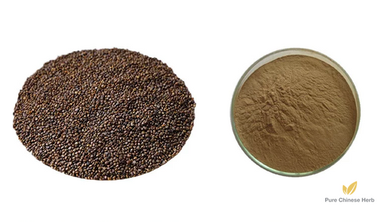 Semen Astragali Complanati Extract 20:1 | Flastem Milkvetch Seed | Huang Qi Zhong Zi-Pure Chinese Herb™