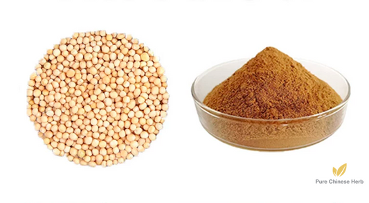 Semen Brassicae Extract 20:1 | White Mustard Seed | Bai Jie Zi-Pure Chinese Herb™
