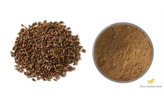 Semen Cassiae Extract 20:1 | Sickle Senna Seed Extract | Jue Ming Zi-Pure Chinese Herb™