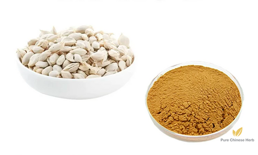 Semen Citri Reticulatae Extract 20:1 | Tangerine Seed Extract | Ju He-Pure Chinese Herb™