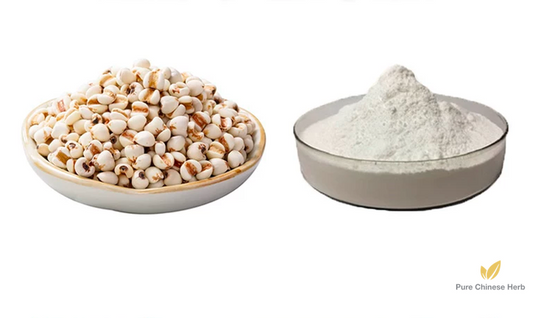 Semen Coicis Extract 20:1 | Coix Seed Extract | Yi Yi Ren-Pure Chinese Herb™