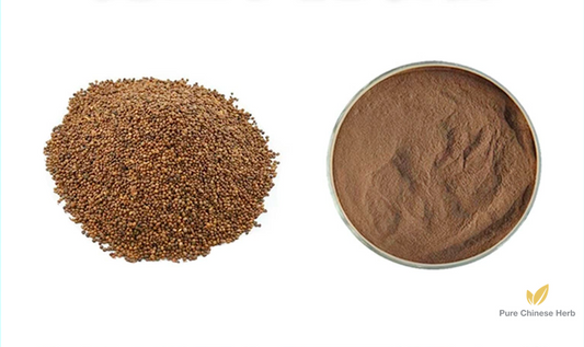 Semen Cuscutae Extract 20:1 | Chinese Dodder Seed Extract | Tu Si Zi-Pure Chinese Herb™
