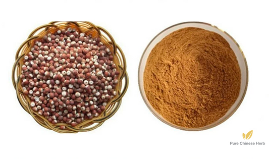 Semen Euryales Extract 20:1 | Gordon Euryale Seed | Qian Shi-Pure Chinese Herb™
