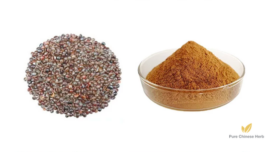 Semen Hoveniae Extract 20:1 | Raisin Tree Seed | Zhi Ju Zi-Pure Chinese Herb™
