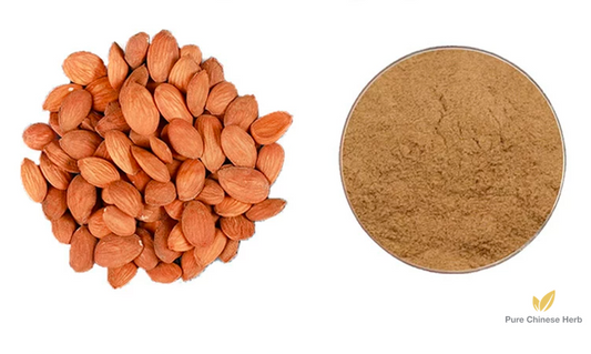 Semen Persicae Extract 20:1 | Peach Seed Extract | Tao Ren-Pure Chinese Herb™
