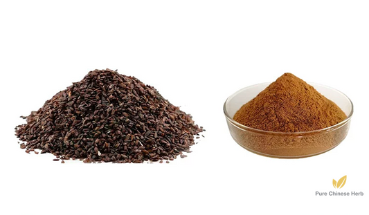 Semen Plantaginis Extract 20:1 | Plantain Seed | Che Qian Zi-Pure Chinese Herb™