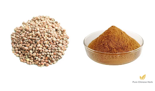 Semen Raphani Extract 20:1 | Radish Seed | Lai Fu Zi-Pure Chinese Herb™