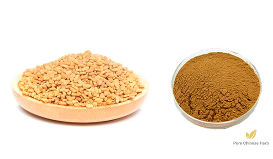 Semen Trigonellae Extract 20:1 | Common Fenugreek Seed | She Chuang Zi-Pure Chinese Herb™
