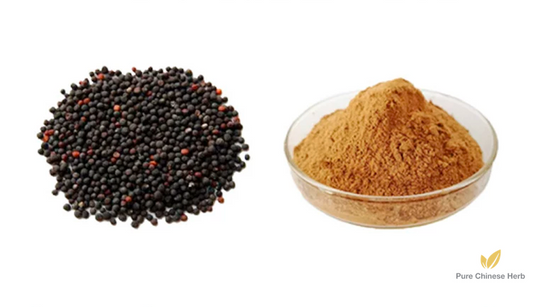 Semen Vaccariae Extract 20:1 | Cowherb Seed Extract | Wang Bu Liu Xing-Pure Chinese Herb™