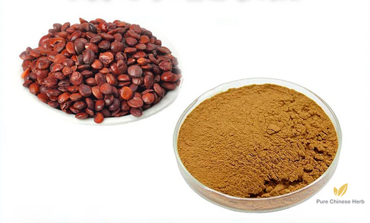 Semen Ziziphi Spinosae Extract 20:1 | Spina Date Seed Extract | Suan Zao Ren-Pure Chinese Herb™