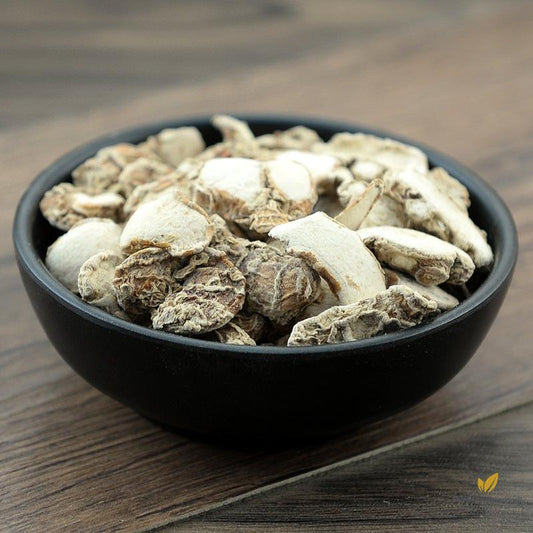 Shan Nai Galanga Resurrectionlily Rhizome Rhizoma Kaempferiae-Pure Chinese Herb™