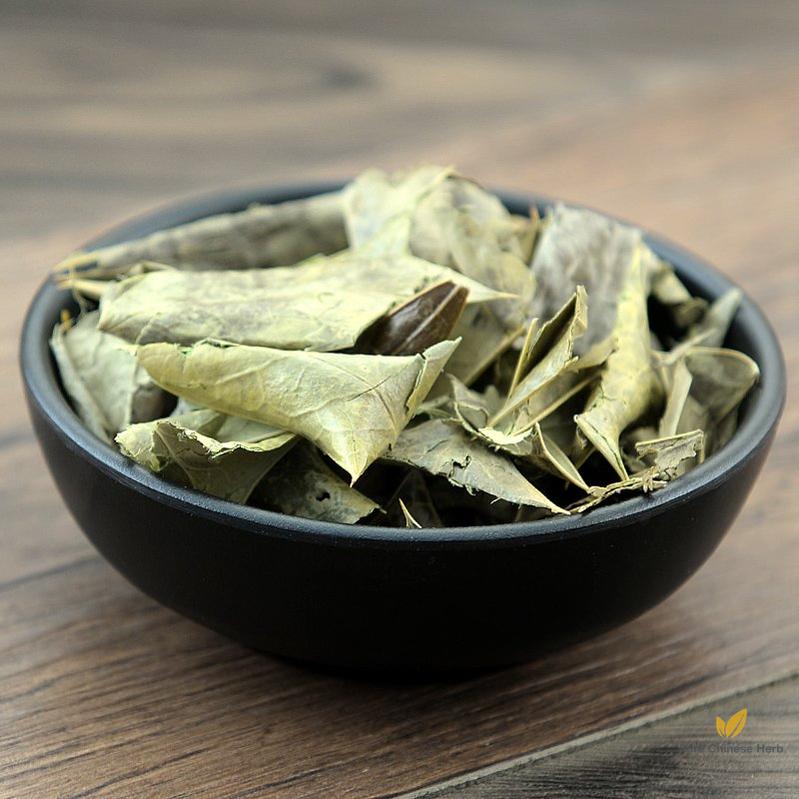 Shi Da Gong Lao Ye Chinese Mahonia Leaf Mahonia Bealei-Pure Chinese Herb™