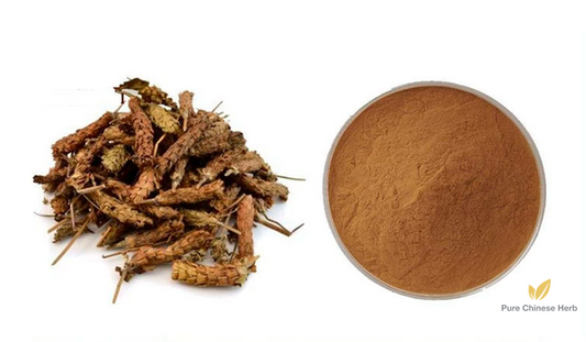 Spica Prunellae Extract 20:1 | Common Selfheal Spike Extract | Xia Ku Cao-Pure Chinese Herb™