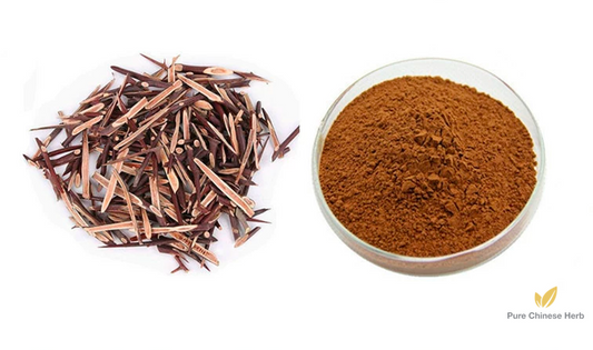 Spina Gleditsiae Extract 20:1 | Chinese Honeylocust Spine | Zao Jia Ci-Pure Chinese Herb™