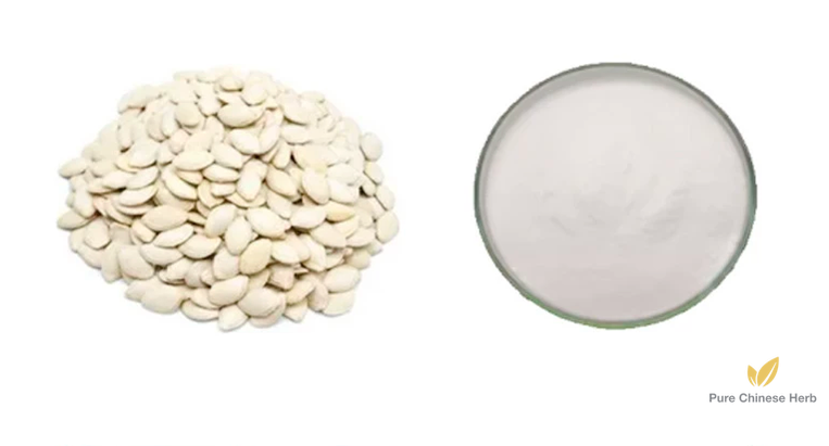 Squash Seeds Extract Fatty Acid 30% | Pumpkin Seeds | Nan Gua Zi-Pure Chinese Herb™