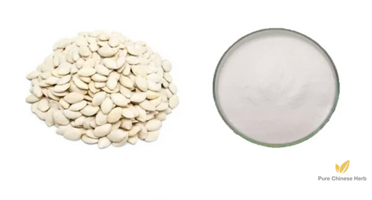Squash Seeds Extract Fatty Acid 30% | Pumpkin Seeds | Nan Gua Zi-Pure Chinese Herb™