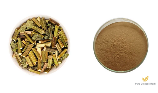 Sticktight Extract 20:1 | Bidens Pilosa | Gui Zhen Cao-Pure Chinese Herb™