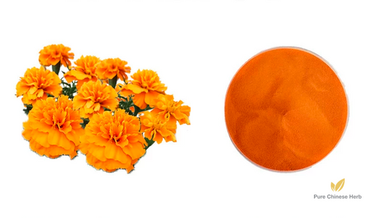 Tagetes Erecta Extract | Lutein Ester Water-soluble Microcapsule Powder | Aztec Marigold | Wan Shou Ju-Pure Chinese Herb™