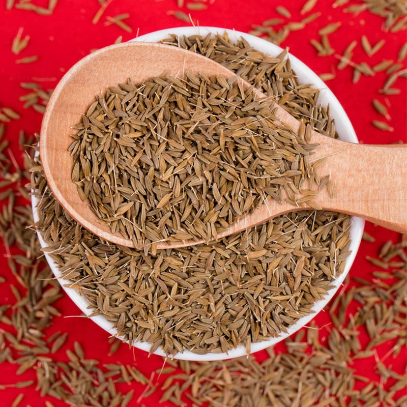 Taraxacum Officinale Seeds | Common Dandelion | Pu Gong Ying | 200pcs/bag-Pure Chinese Herb™