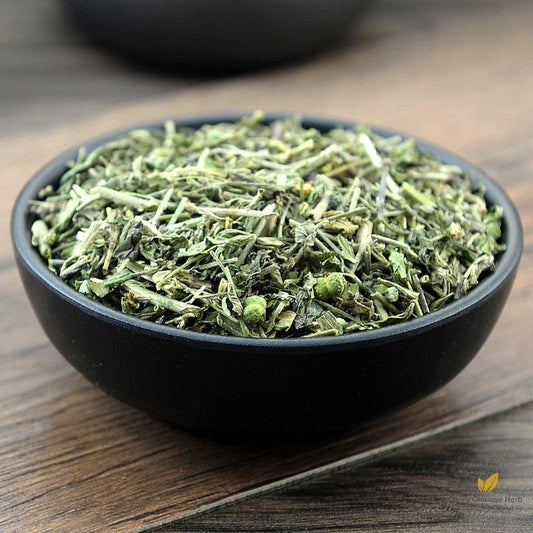 Tou Gu Cao Tuberculate Speranskia Herb Herba Speranskiae Tuberculatae-Pure Chinese Herb™
