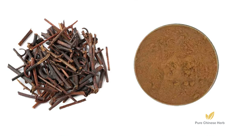 Uncaria Rhynchophylla Extract 20:1 | Gambir Plant Extract | Gou Teng-Pure Chinese Herb™