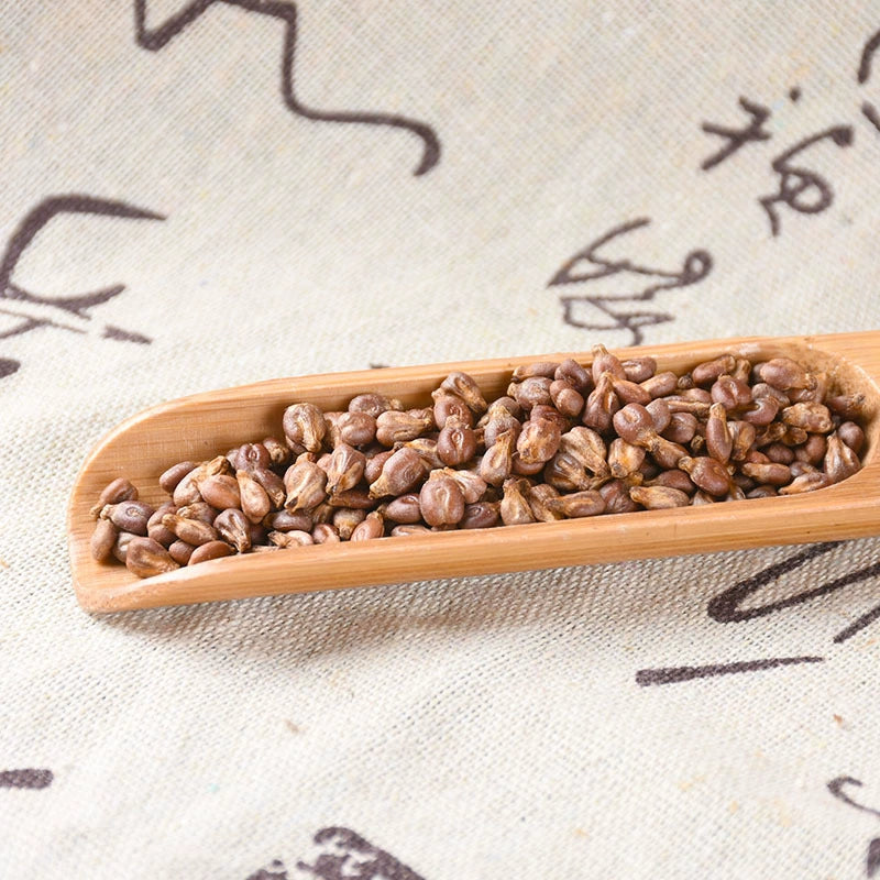 Vitis Vinifera Seed Powder European Grape Fruit Seed Herb Powder Pu Tao Zi Fen-Pure Chinese Herb™
