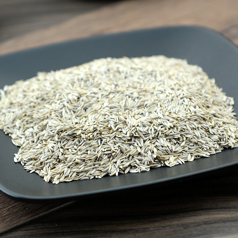 Wo Ju Zi Seed Of Garden Lettue Lactuca Sativa Asparagus Lettuce-Pure Chinese Herb™
