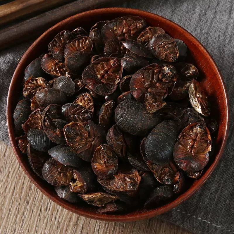 Woodlouse Powder Eupolyphaga Sinensis Herb Powder Tu Bie Chong Fen-Pure Chinese Herb™