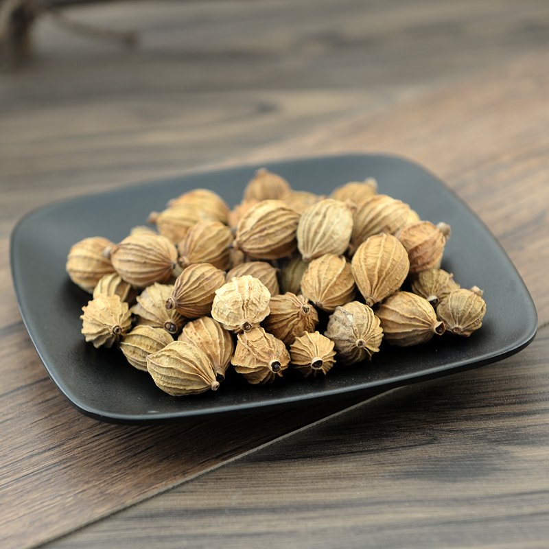 Xiang Sha Ren Cocklebur-like Amomum Fruit Fructus Amomi-Pure Chinese Herb™