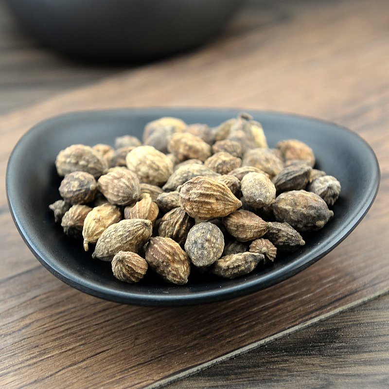 Yi Zhi Ren Sharpleaf Galangal Fruit Fructus Alpiniae Oxyphyllae-Pure Chinese Herb™