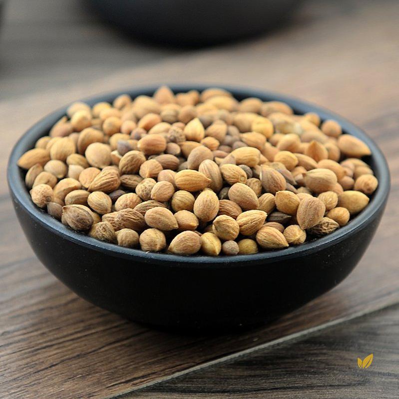 Yu Li Ren Chinese Dwarf Cherry Seed Dwarf Flowering Cherry Seed Semen Pruni-Pure Chinese Herb™