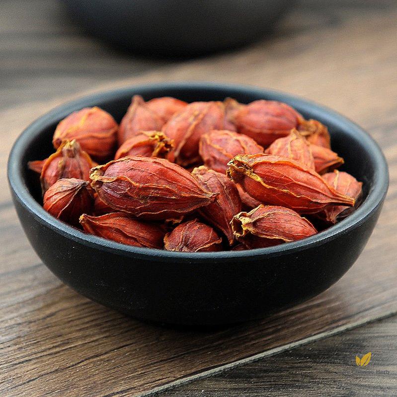 Zhi Zi Fructus Gardeniae Cape Jasmine Fruit Gardenia Jasminnoides Ellis-Pure Chinese Herb™