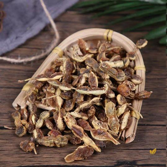 Organic Herba Fructus Sophorae | Pagodatree Pod | Fruit of Sophora japonica | Huái Jiǎo-Pure Chinese Herb™