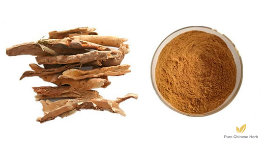 Acanthopanax Root Extract 20:1 | Radix Acanthopanacis Senticosi Extract | Ci Wu Jia-Pure Chinese Herb™