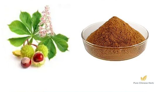Aesculus Chinensis Extract 20:1 | Concentrated Chinese Buckeye Seed Extract | Qi Ye Shu-Pure Chinese Herb™