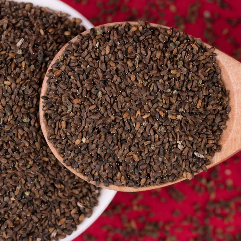 Agastache Rugosa Seeds | Blue Licorice | Purple Giant Hyssop | Huo Xiang | 500pcs/bag-Pure Chinese Herb™