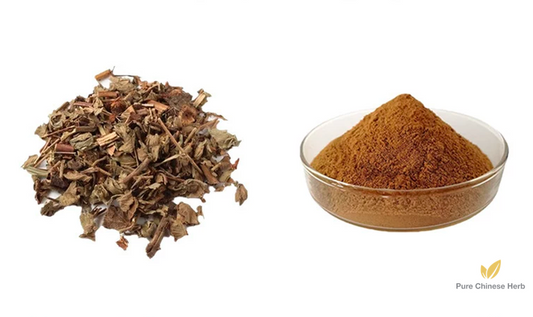 Agrimonia Pilosa Extract 20:1 | Herba et Gemma Agrimoniae | Mao Gen Cao-Pure Chinese Herb™