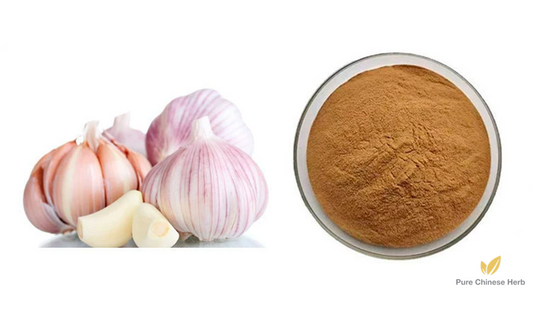 Allium Sativum Extract 20:1 | Garlic Extract | Da Suan-Pure Chinese Herb™