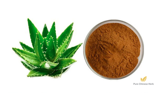 Aloe Extract 20:1 | Aloe Vera Extract | Lu Hui-Pure Chinese Herb™
