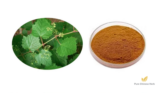 Ampelopsis Grossedentata Extract 20:1 | Moyeam | Teng Cha-Pure Chinese Herb™