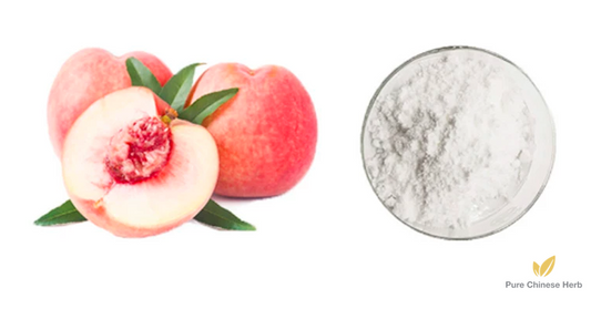 Amygdalus Persica Extract 20:1 | Honey Peach | Tao Ren-Pure Chinese Herb™