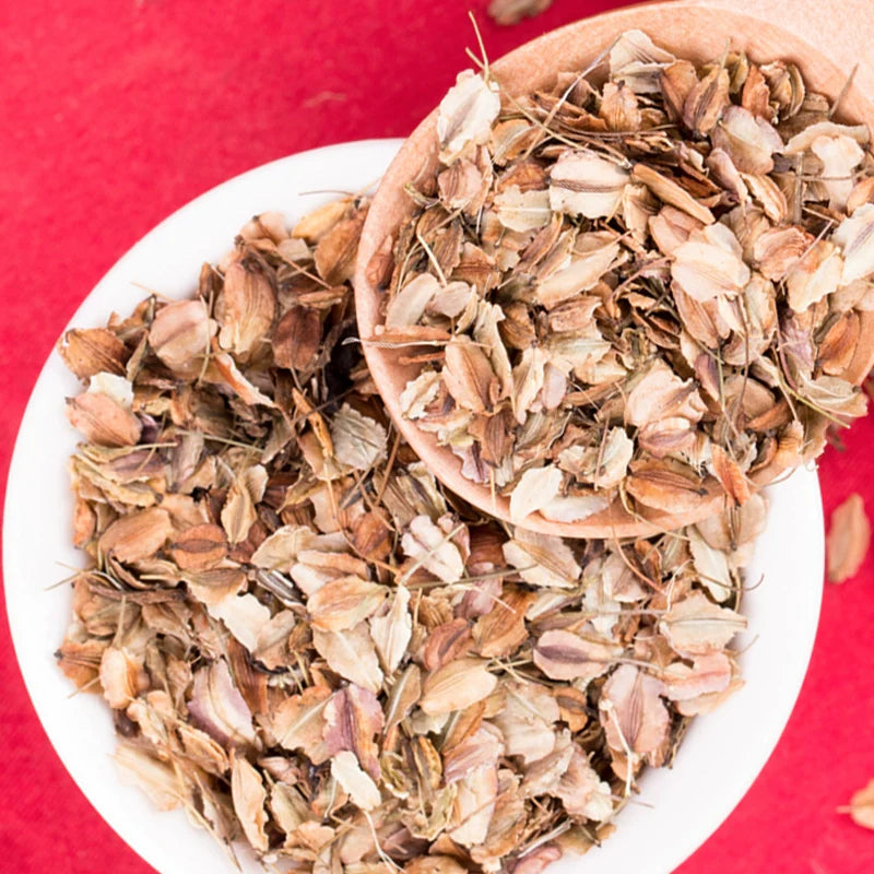 Angelica Sinensis Seeds | Dong Quai | Female Ginseng | Dang Gui | 100pcs/bag-Pure Chinese Herb™